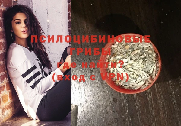 mdpv Белокуриха