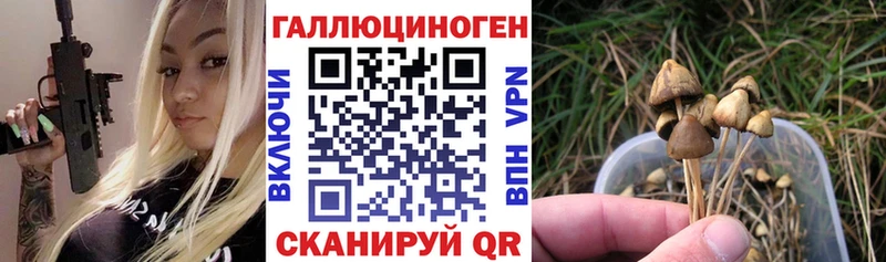 сколько стоит  блэк спрут ТОР  Галлюциногенные грибы мухоморы  даркнет Telegram  Фурманов 